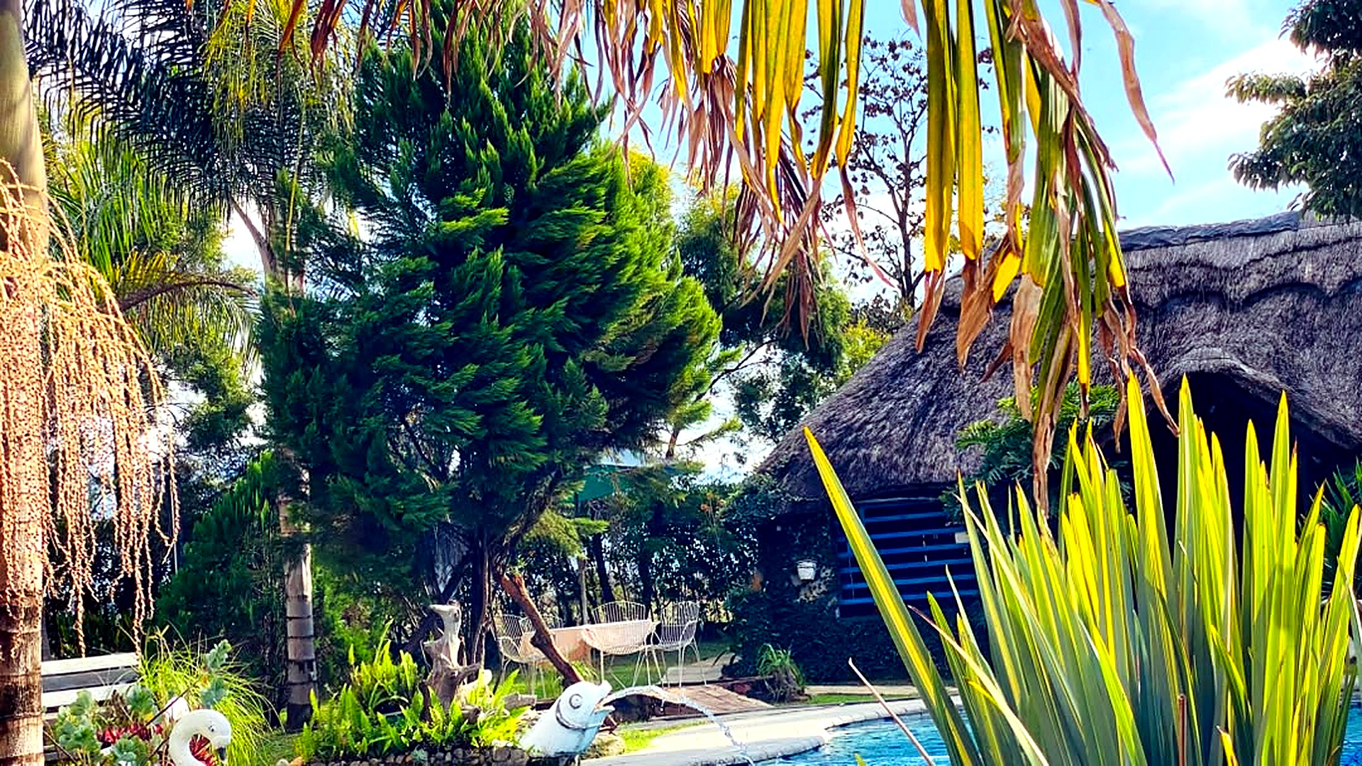 Poolside loungers