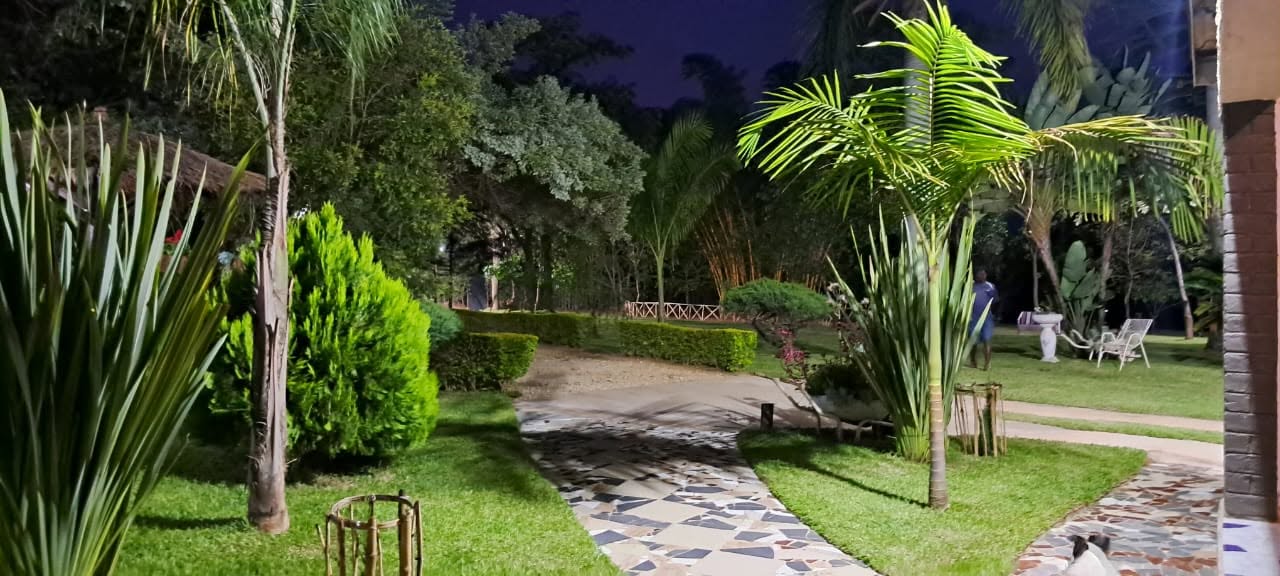 Pathways at Dusk