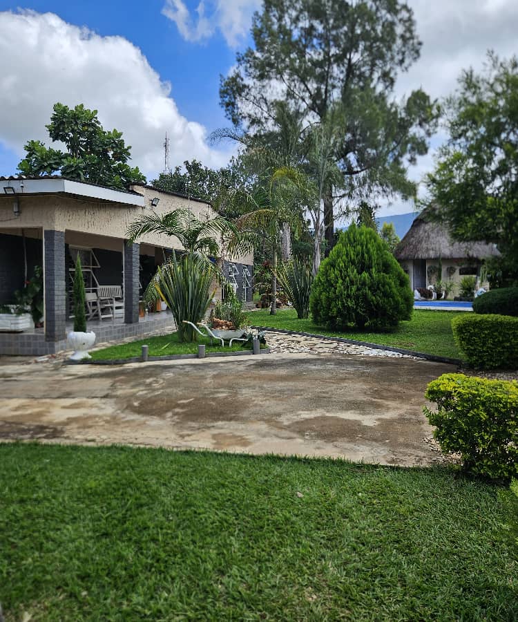 Arrival & Driveway