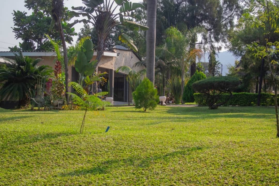Manicured Lawns