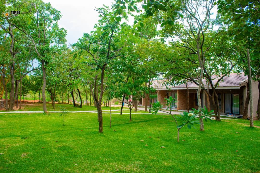 Tree-Shaded Rooms
